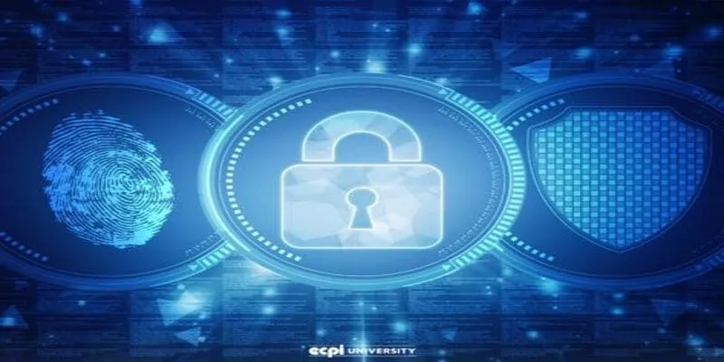 Miễn Trừ Trách Nhiệm 2 Trách Nhiệm Của Người Chơi Và Nhà Cái