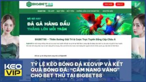 bigbet88 ty le keo bong da keovip - Tỷ Lệ Kèo Bóng Đá Keovip Và Kết Quả Bóng Đá: “Cẩm Nang Vàng” Cho Bet Thủ Tại Bigbet88